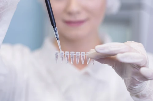 Jak to u nás probíhá